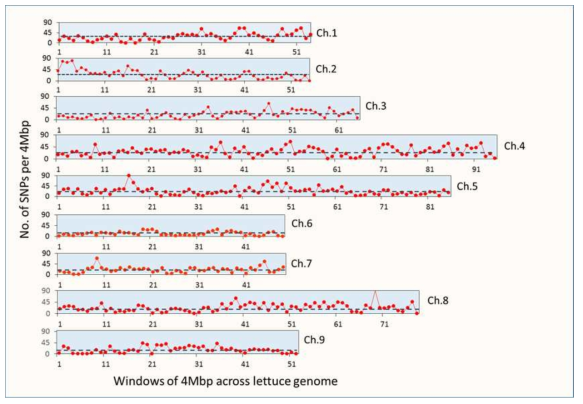 Chromosome 내의 각 LD block에 대한 SNP의 분포밀도