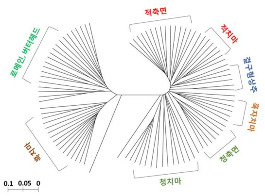 UPGMA tree analysis to infer genetic relationship among various types