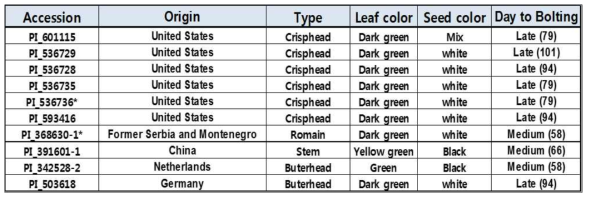 상추 USDA germplasm collection에서 선발된 고온기 추대에 강한 상추 유전자원 list