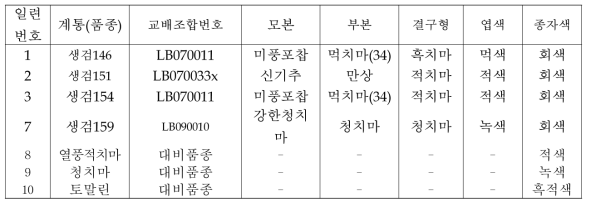 본 연구팀에서 선발된 우량 고세대 계통