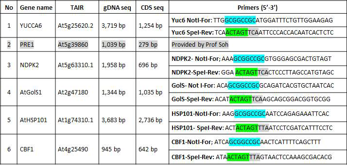 벡터제작에 사용된 6종의 스트레스 내성 후보유전자들을 TAIR accession No. gDNA와 cDNA크기 및 PCR방법 증폭에 사용된 primer 염기서열