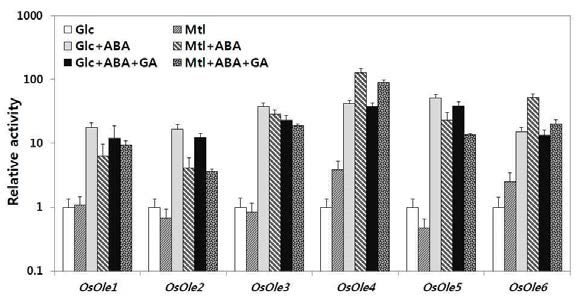 Rice oleosin gene expression in response to ABA and GA in suspension-cultured rice cells