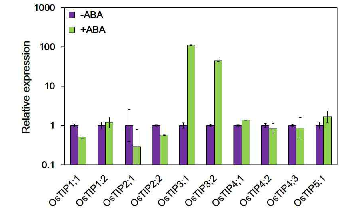 Expression of OsTIP subfamily genes is responsive to ABA in suspension-cultured rice cells
