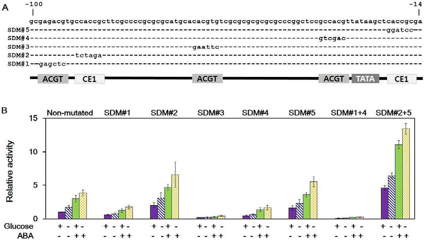 The ACGT cores and CE1 sequences reciprocally regulate the OsTIP3;1 promoter activity under the control of sugar and ABA