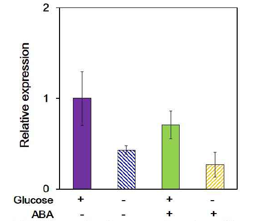 Expression of rice ABI4 is repressed under sugar-starved conditions
