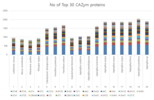 CAZyme list 중 상위 30개 카테고리에 대한 각 균주 별 분석 * GH: Glycoside hydrolase; GT: Glycosyl transferase; PL: Polysaccharide lyase; CE: Carbohydrate esterase; AA: Auxillary activity; CBM: Carbohydrate-binding module. 각 균주별로 다량으로 존재하는 탄수화물 관련 유전자의 분포가 다름을 알 수 있음