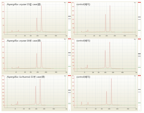 Agilent 2100 Bioanalyzer QC 결과