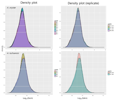 분포 평가를 위한 개별 조건의 density plot(A. oryzae, A. luchuensis mapping samples)