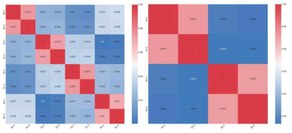 실험 sample간의 상관성 조사를 위한 correlation plot (왼쪽 A. oryzae k15번, k16번 오른쪽 A. luchuensis k11번)