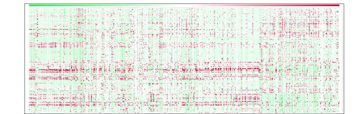 고추 핵심집단의 반극성 대사체 Heat-map