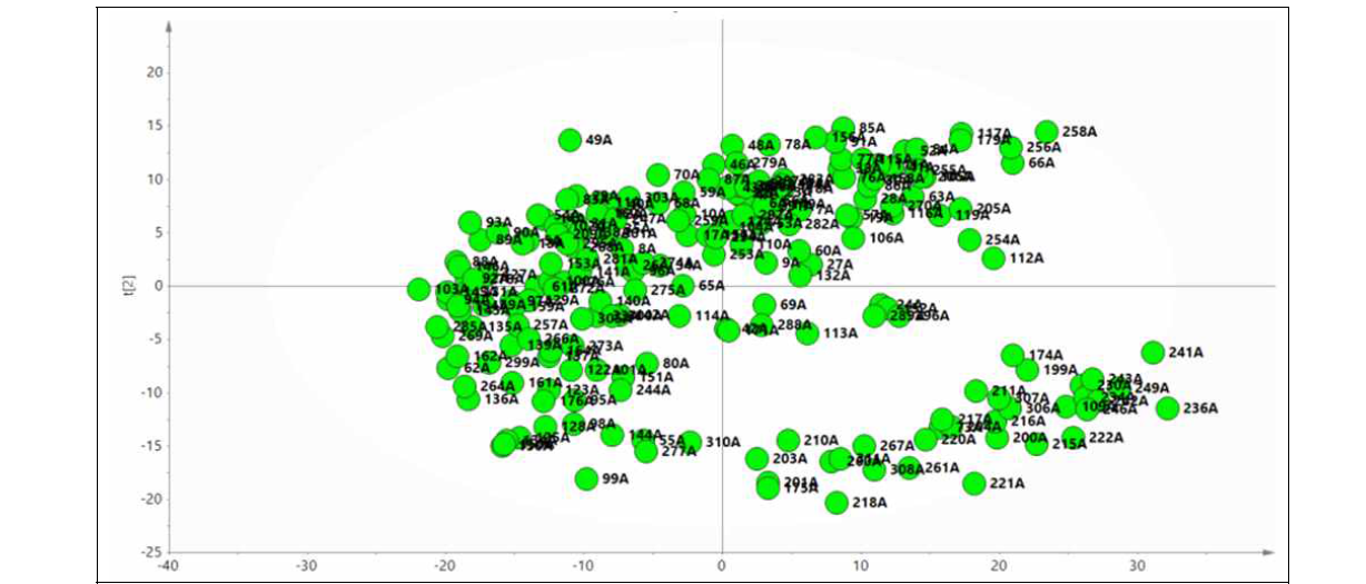 고추 핵심집단의 반극성 대사체 PCA 분석