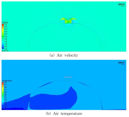 Air velocity and temperature distribution in case of opening width 20cm