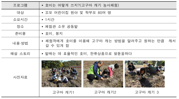 고구마 캐기 시연