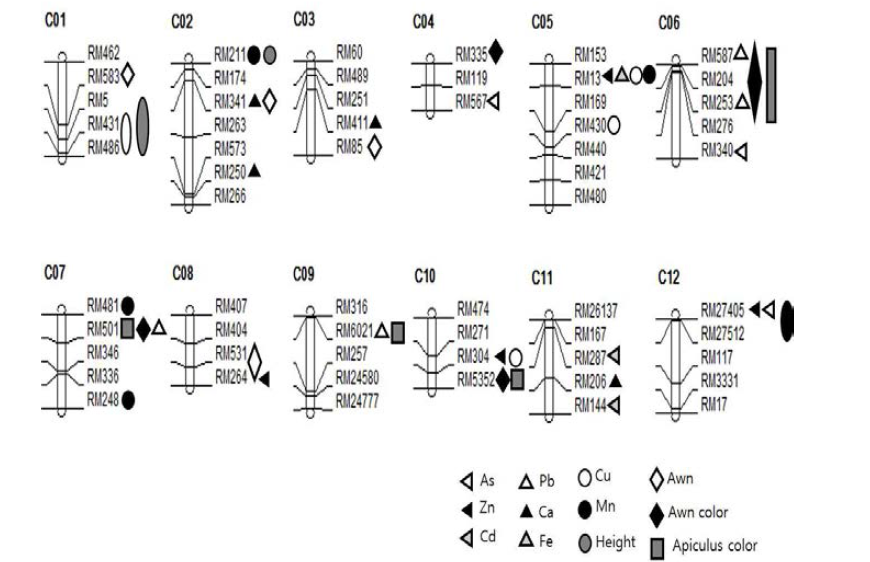 미량원소와 순화 특성 관련 QTL 염색체 위치 (QTL cartographer를 이용한 Single Marker Analysis, p<0.05)