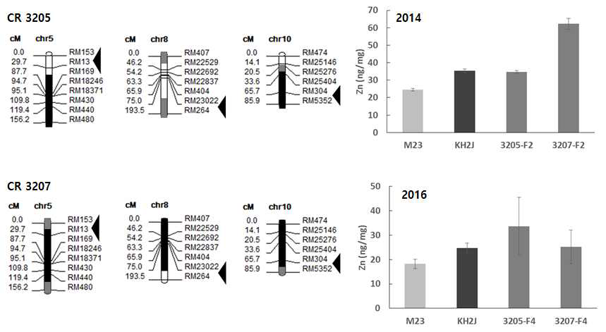 그림. 선발 우수 계통의 qZn 유전자 지도와 2년간 아연함량비교