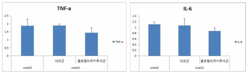 TNF-a와 IL-6