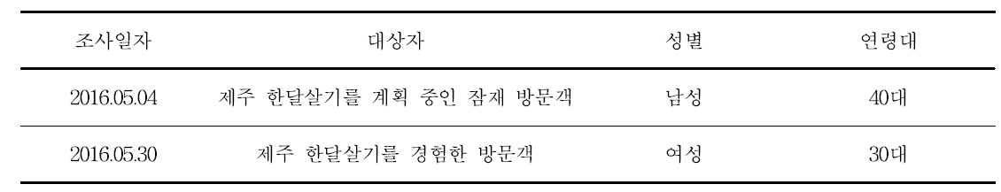 심층 인터뷰 조사 대상