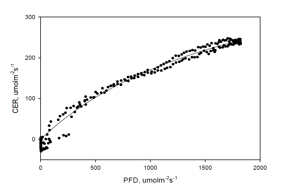 일중 PFD(Photon Flux Density)과 CER 과의 관계 분석
