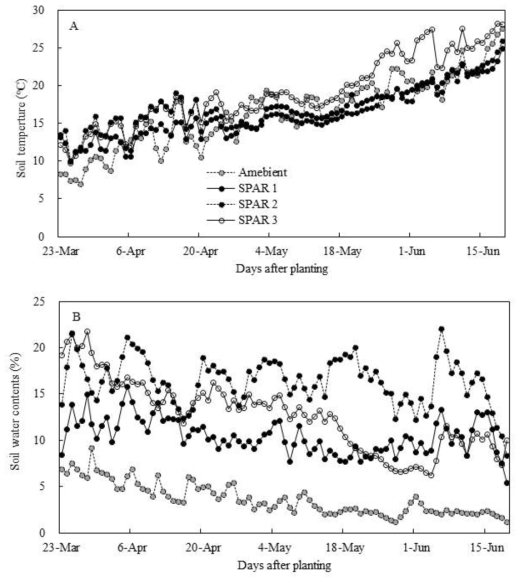 Daily average soil temperature (A) and soil water contents (B) during the experiment