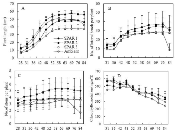 Growth responses of tagged potatoes by growth condition. Plant length (A), the number of lateral branch per plants (B), number of stolons per plant (C) and chlorophyll concentration (D). Each column and error bar represents the mean±SD of ten replicates