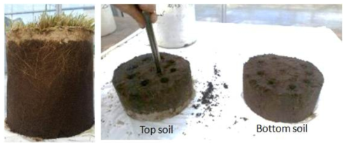Soil sampling
