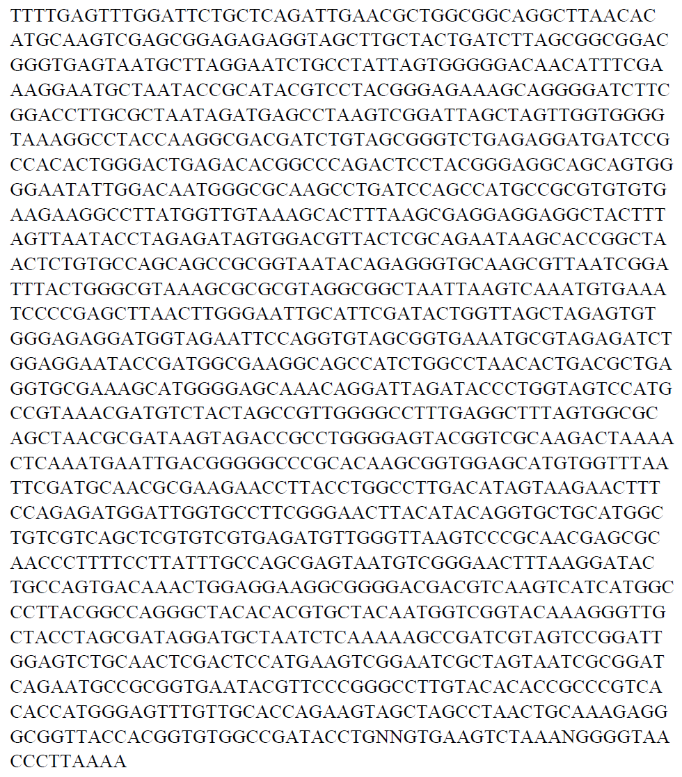 4-2-2의 16S rRNA gene sequence