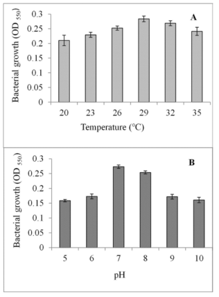 Effects of temperature (A) and pH (B) values on growth of Acinetobacter sp. strain 4-2-2 after 24 h incubation
