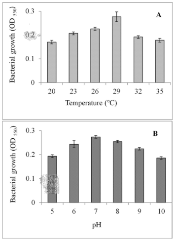 Effects of temperature (A) and pH (B) values on growth of Acinetobacter sp. ZX02