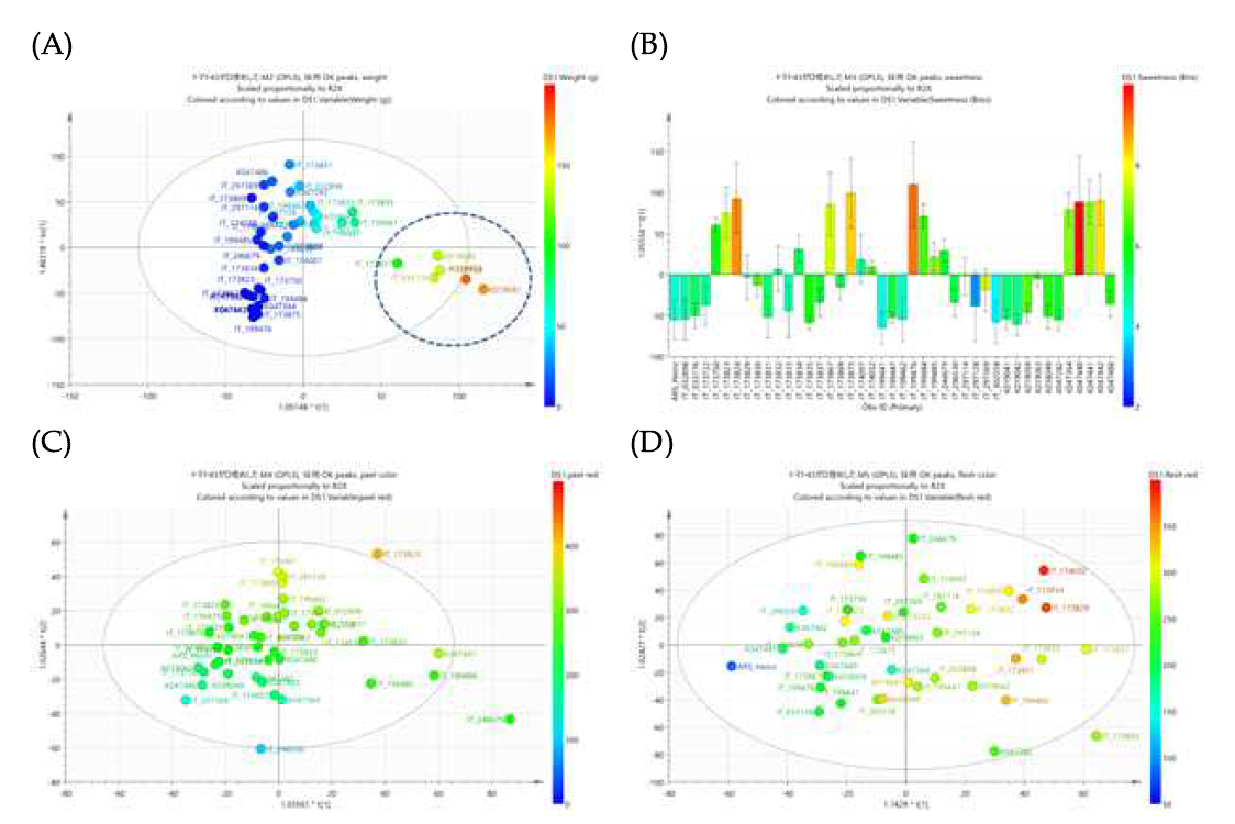 비표적 대사체 분석과 농업형질 특성과의 OPLS 연관분석. (A) 생과중과 비표적 대사체 함량과의 연관성. (B) 당도와의 관계. (C) 과피색 RGB와의 관계. (D) 과육색 RGB와의 관계