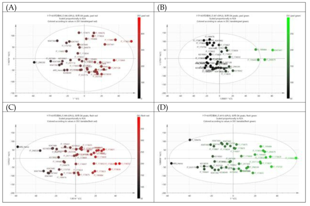 과피색 RGB 요소와 과육색 RGB 요소의 비표적 대사체 성분과의 OPLS 연관 분석. (A) 과피색 Red. (B) 과피색 Green. (C) 과육색 Red. (D) 과육색 Green