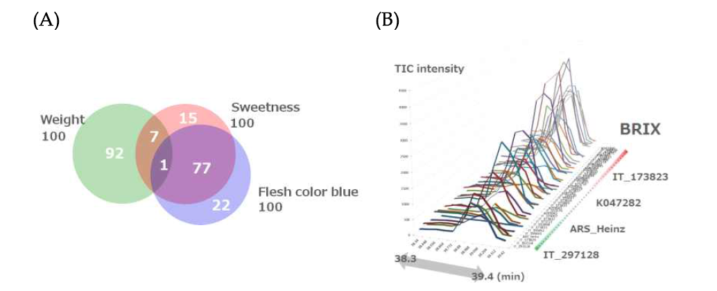 농업특성에 기여하는 VIP 대사물질의 상호연관. (A) 농업특성 3가지에서 각 VIP 분석으로 나온 대사물질들 간의 리스트 교차분석. (B) 당도와 과육의 Blue 요소에 관여하는 78개 대사물질이 주로 검출된 39 min에서의 TIC 프로파일. 당도(Brix) 같이 높을 수로 TIC 값도 증가하는 것을 알 수 있다