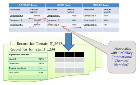 대사체 데이터의 통합관리 데이터의 연관관계 형성 개요. 대사물질의 최종 record를 개별 분석기기로부터 받은 후, InChlKey로 relation을 만든다