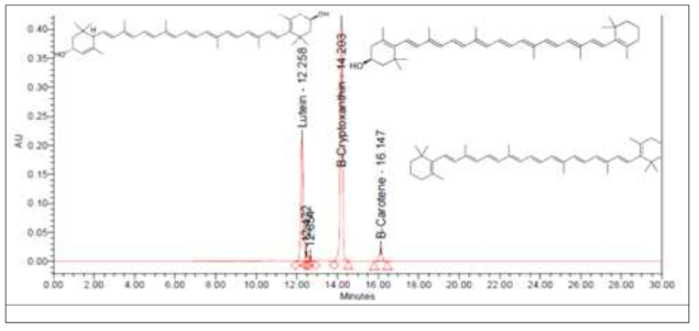 β-carotene, β-cryptoxanthine, lutein을 표준물질로 사용하여 성분 분석