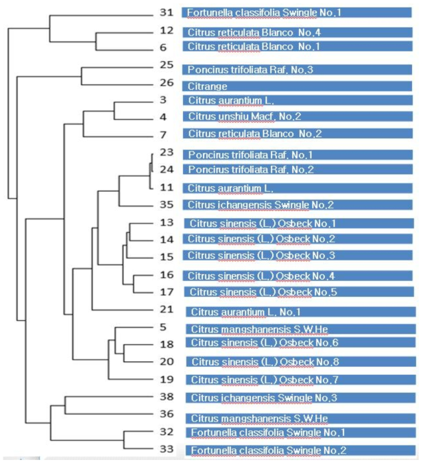 The phylogeny of citrus 4CL SNP