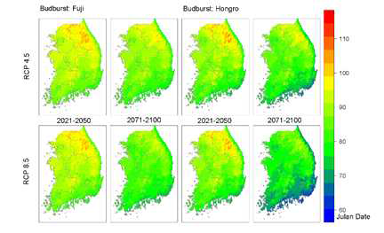 사과 ‘후지’와 ‘홍로’의 발아기 예측 지도