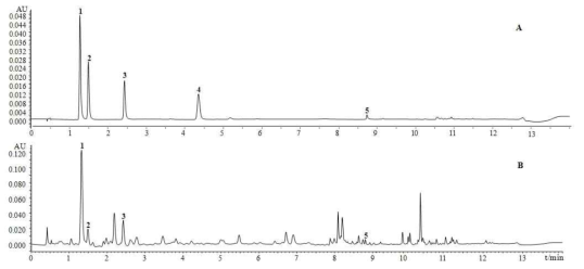 오미자 줄기 분석 hplc chromatograph A(Sample) B(Standard) 1. protocatechuic acid 2. chlorogenic acid 3. neochlorogenic acid 4. p-coumaric acid 5. cinnamic acid