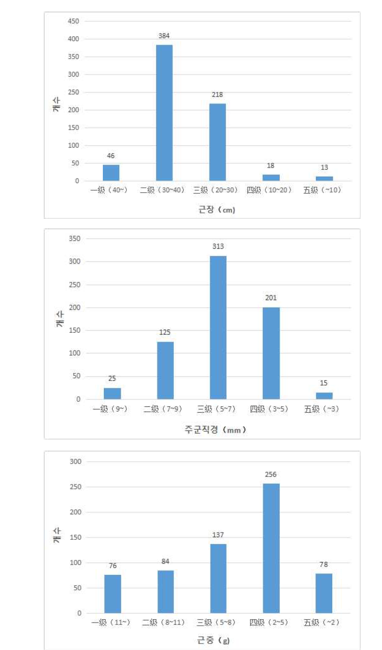 몽고황기 종묘의 근장 주근직경 근중