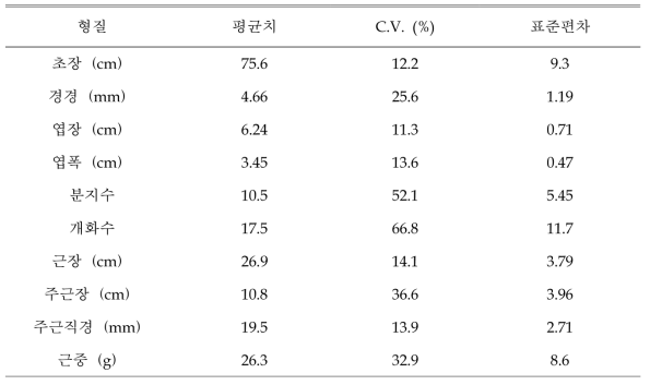 2년생 보라색 꽃 도라지 생육특성