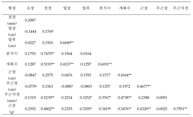 2년생 보라색 꽃 도라지 생육특성 간의 상관관계