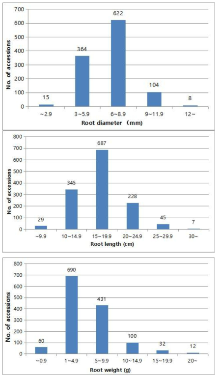 1113점 중국 1년생 도라지유전자원 근장, 근중, 근직경 빈도분포도