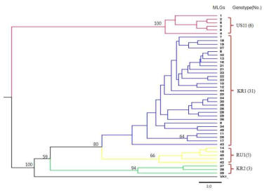 Phylogenteic and genetic population structure of Korean P. infestans isolates with 12 SSR markers from 2009 to 2016. A) UPGMA phylogeny tree inferred from 12 SSR markers using PAUP 3.0 by MLGs (multi-locus genotype). Bootstrap values > 50% are given at the nodes. Genotypes are colored by the 12 SSR markers