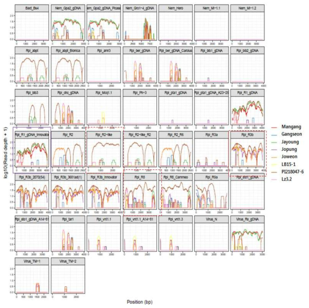 The read depth and coverage of 12 functional Rpi genes with homologous sequences isolated from dRenSeq analysis with Korean potato cultivars and mapping under high stringent conditions (0% mismatch rate)