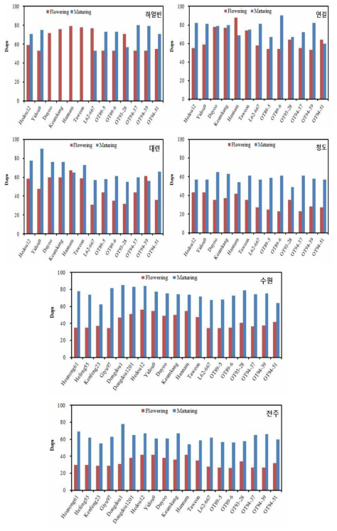 2016년 지역별(위도별) 및 품종별 개화일수와 성숙일수 비교