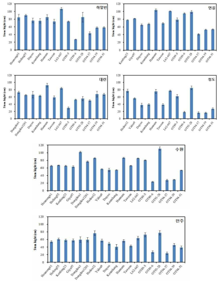지역별(위도별) 및 품종별 생육(경장) 비교