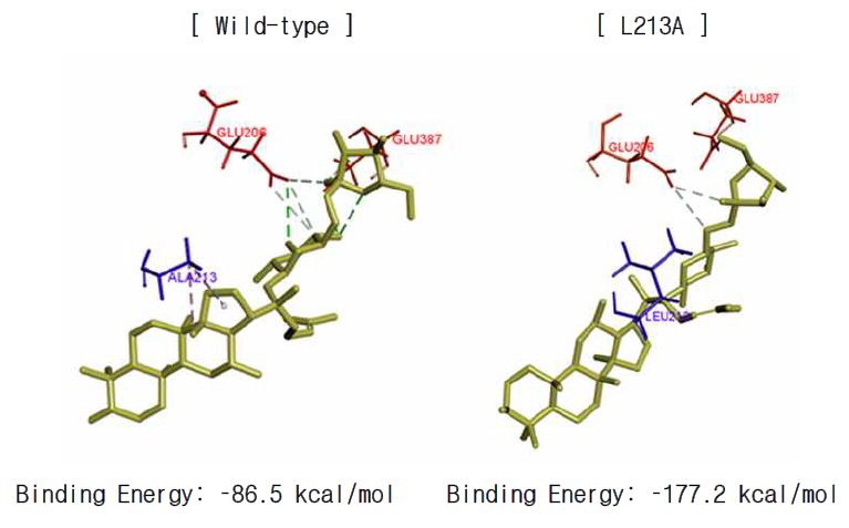 Wild-type 및 L213A의 compound Mc와의 binding energy