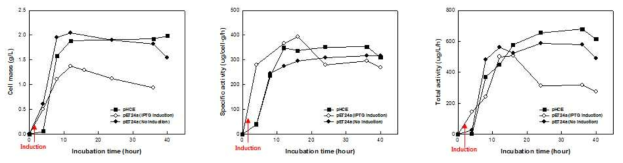 pHCE와 pET vector를 이용한 E. coli의 생장과 활성 비교