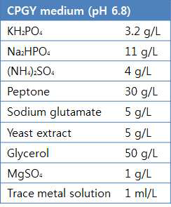 CPGY 배지 조성