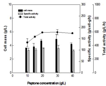 Peptone 농도별 활성 비교
