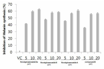 희귀진세노사이드의 멜라닌 합성 저해 효과
