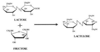 β-galactosidase를 이용한 lactulose의 합성